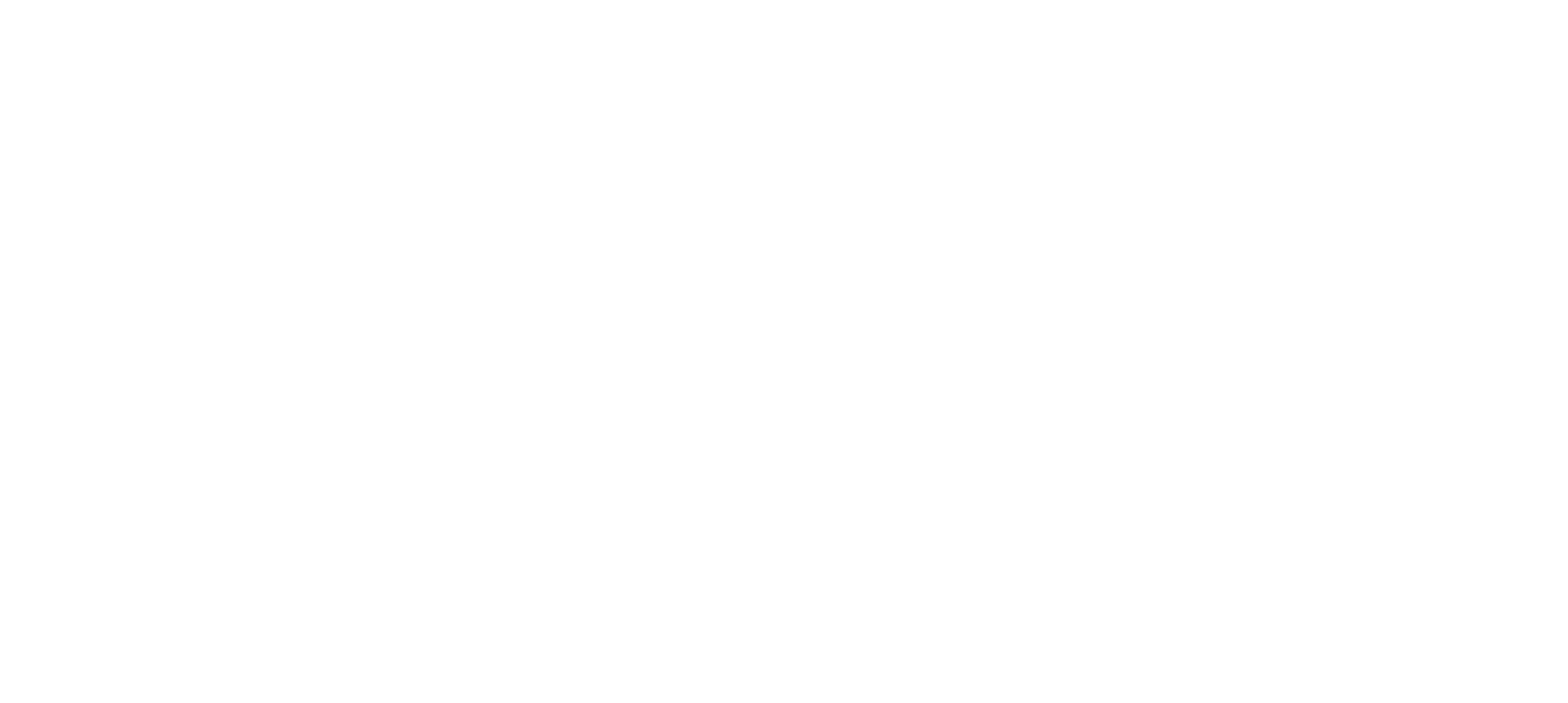 Owasp